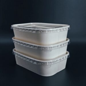 kraft-rectangular-bowl-3