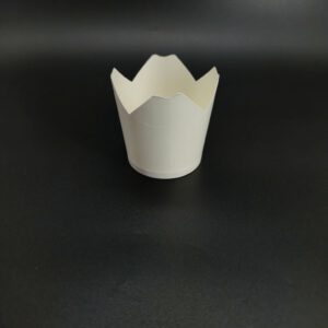 paper-small-box-plain-with-sauce-container-perforation-4-9x4-5x2-5-br-br-3